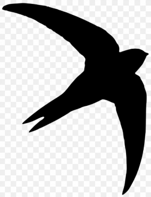 Swift silhouette logo